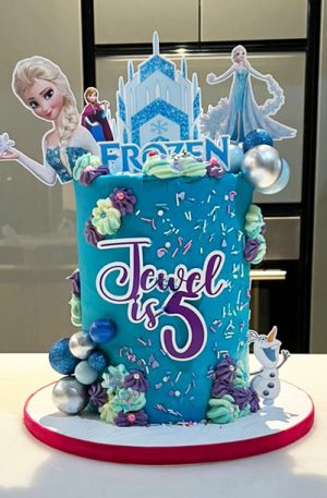 Frozen Cake